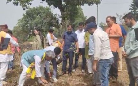 विश्व पर्यावरण दिवस पर हरिद्वार से नवनिर्वाचित सांसद त्रिवेन्द्र सिंह रावत ने किया वृक्षारोपण