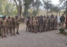 वनाग्नि रोकथाम पर दो दिवसीय वर्कशॉप का किया आयोजन