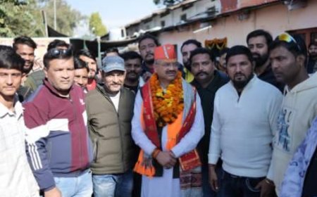 निकाय चुनाव:  सौरभ को मैदान में उतारने से एबीवीपी व भाजयुमो में उत्साह 