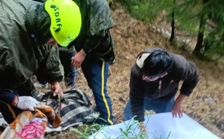 दर्दनाक हादसाः आल्टो कार के खाई में गिरने से दो की मौत, दो घायल