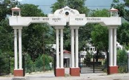 गढ़वाल विवि में पीएचडी में नए मानकों से होंगे प्रवेश