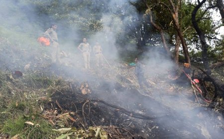 हेलीकॉप्टर हादसे की जांच के आदेश, सोमवार तक हेली सेवा पर रोक