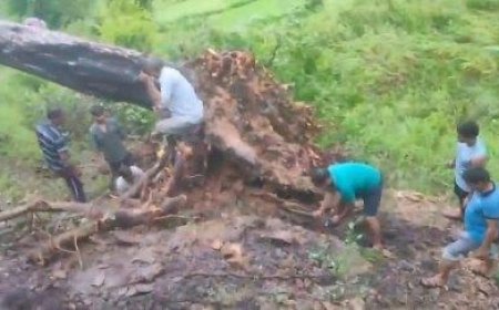 पेड़ गिरने से उसकी चपेट में आये दो स्कूली बच्चों की हुई दर्दनाक मौत