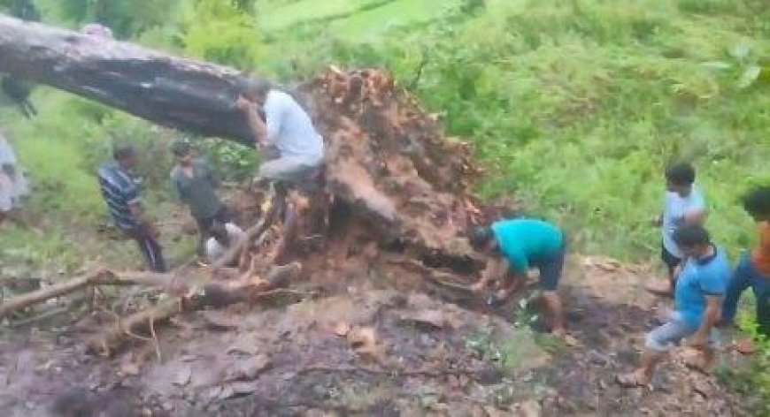 पेड़ गिरने से उसकी चपेट में आये दो स्कूली बच्चों की हुई दर्दनाक मौत