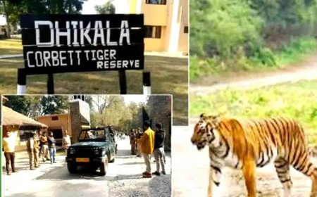 आज से पर्यटकों के लिए बंद हुआ कॉर्बेट का ढिकाला जोन, पर्यटन गतिविधियों पर लगा विराम
