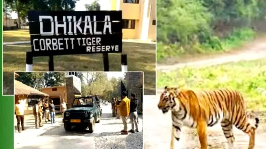 आज से पर्यटकों के लिए बंद हुआ कॉर्बेट का ढिकाला जोन, पर्यटन गतिविधियों पर लगा विराम