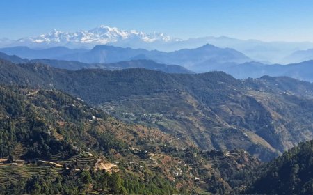 भू-कानून उल्लंघन पर उत्तराखंड सरकार का बड़ा एक्शन, 304 नाली भूमि हुई सरकार के नाम