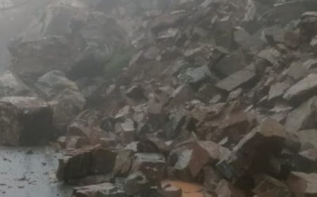 बारिश-भूस्खलन का कहर, कार्बेट-राजाजी के कई रास्ते क्षतिग्रस्त; 40 सड़कें बंद