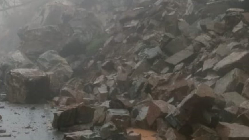 बारिश-भूस्खलन का कहर, कार्बेट-राजाजी के कई रास्ते क्षतिग्रस्त; 40 सड़कें बंद